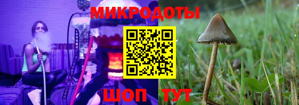 Псилоцибиновые грибы Psilocybe  закладки  Псилоцибиновые грибы Cubensis  Десногорск  Вход с VPN 
